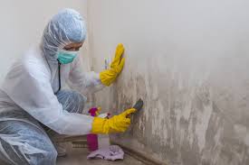 Best Mold Odor Removal Services  in Stepney, CT